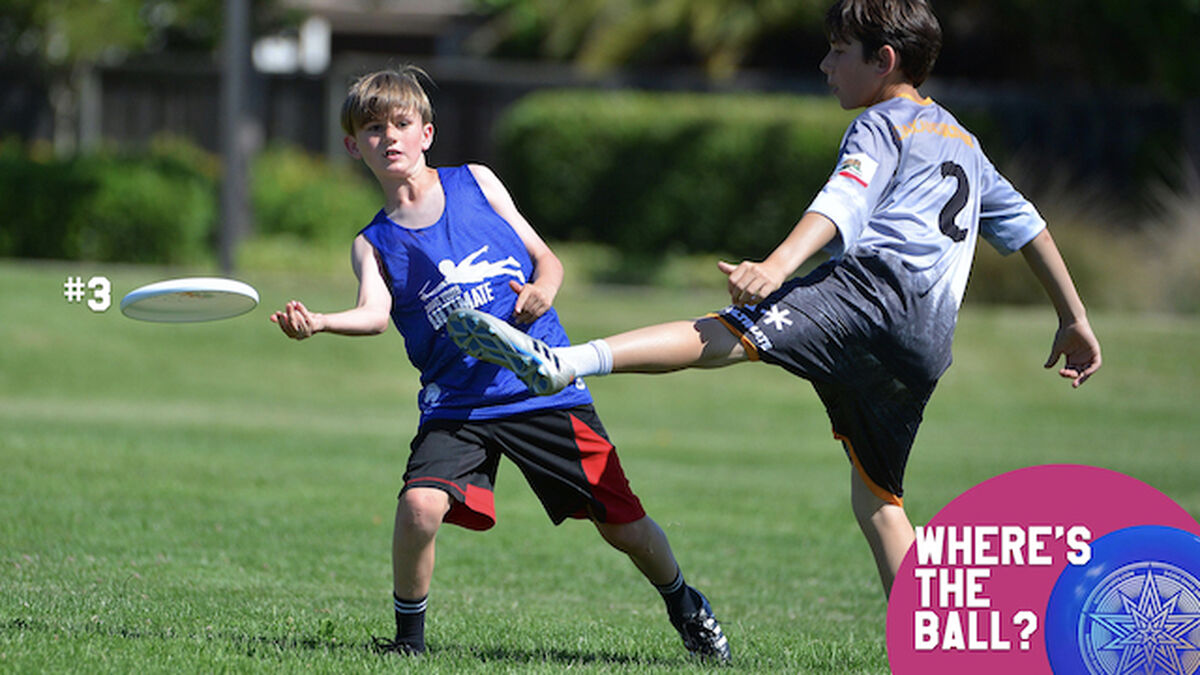 Where's the Ball? Volume 5 Ultimate Frisbee Edition image number null